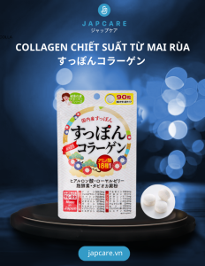 Viên Uống Collagen Chiết Suất Rùa Mai Mềm